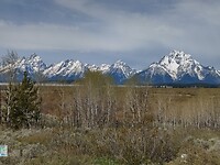 IMG_20220603_102126_HDR