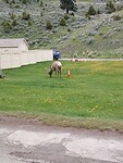 IMG_20220601_144811_HDR