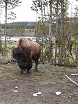 IMG_20220531_103234_HDR