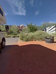 IMG_20220605_165041_HDR