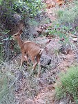 IMG_20220606_114611_HDR