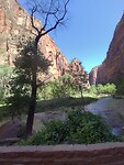 IMG_20220606_114240_HDR