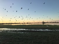 IMG_2726