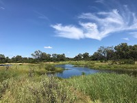 IMG_2729