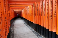 Fushimi Inari
