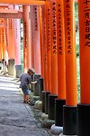Fushimi Inari