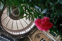 Wintergarden Ny Glyptotek Museum