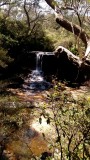 Blue mountains