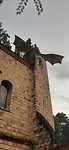 20200226_164354