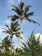 IMG_0207