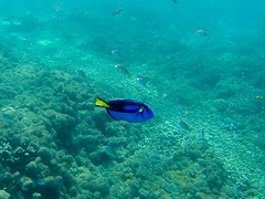 IMG_1180
