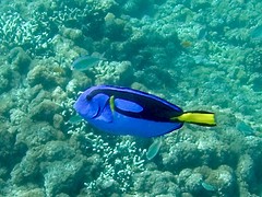 IMG_1181