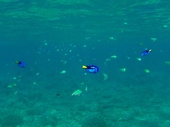 IMG_1183