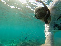 IMG_1184