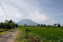 IMG_8398