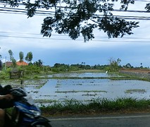 CIMG5779