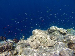 IMG_1782