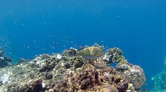 IMG_1783