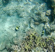 IMG_1757