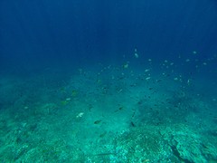 IMG_1758