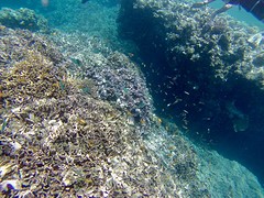 IMG_1761