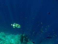 IMG_1772