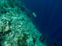 IMG_1773