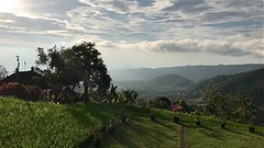 IMG_0473