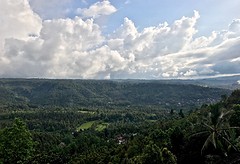 IMG_0501