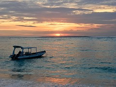 IMG_0541