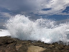 IMG_0637