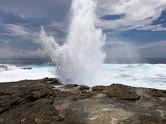 IMG_0638