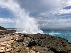 IMG_0611