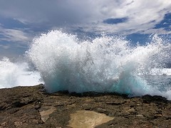 IMG_0636