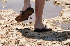 IMG_8763