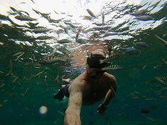 IMG_2278