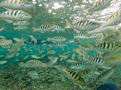 IMG_2284