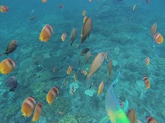 IMG_2297