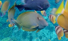 IMG_2300