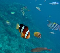 IMG_2310
