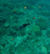 IMG_2327