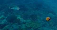 IMG_2329