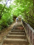 D6304695-56D4-4387-8B77-F1E57ABB5CF2
