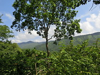 AAC354E1-9D42-4E0B-AB9F-E40532539C4D