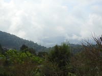 B8E557C6-620B-4D41-8429-E3A3F7B6D502