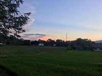 563E6F9B-CC21-4887-B45B-EE34810F7D2C