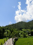 D4D0490D-73F3-49EB-89BD-0617EBE01CE8