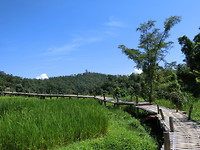 4B8A8F19-70C7-4D07-B3EE-EC453766A7B5