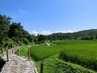 9C0CA909-97F9-416F-9249-FEFA34E21BF9