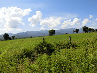 D6606D48-F6E9-4124-A75C-B6643614C358